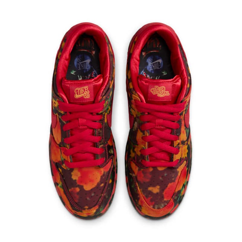 Nike SB Dunk Low Pro x The Wizard of Oz FZ1291-600 04