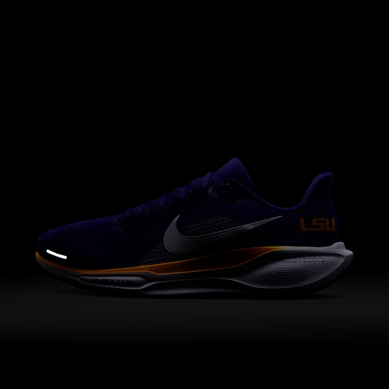 Nike Pegasus 41 IB3248-500 09