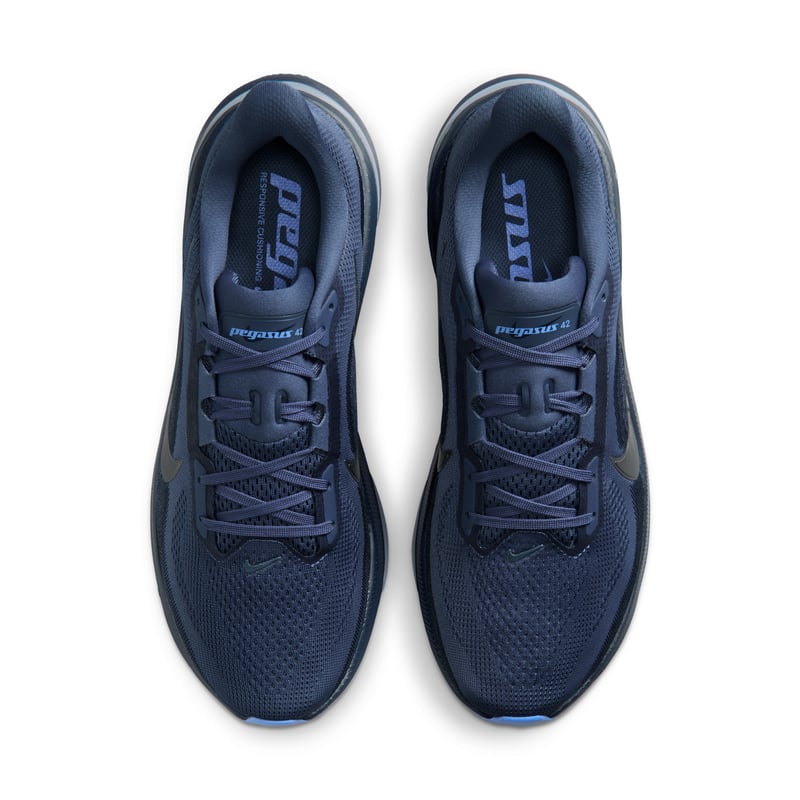 Nike Pegasus 42 IB1873-401 04