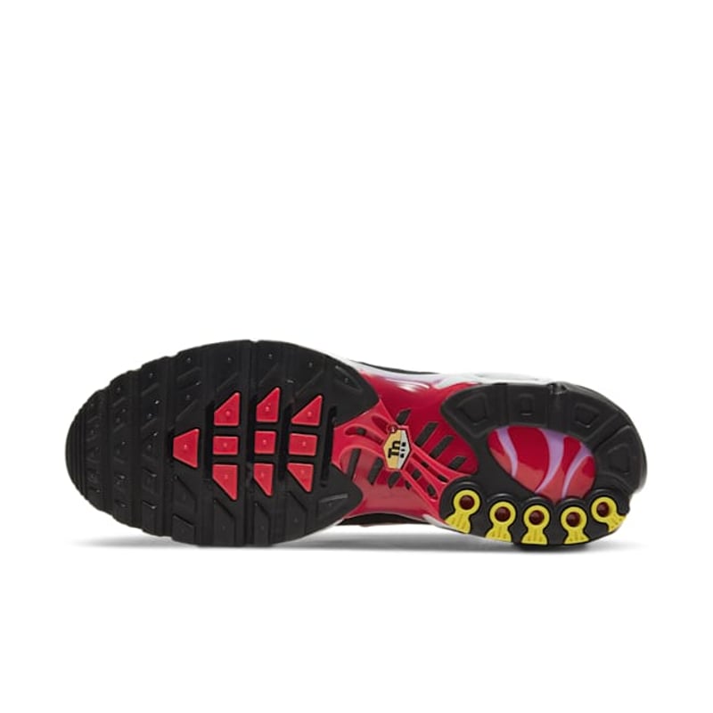 Nike Air Max Plus CZ1651-800 02