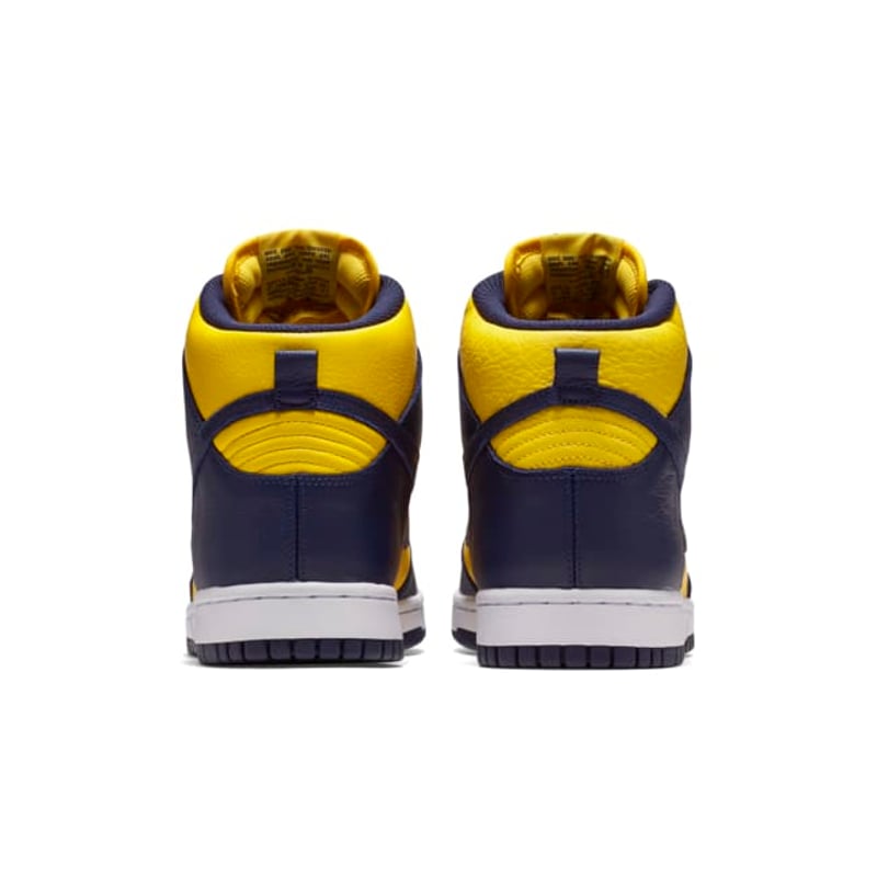 Nike Dunk High QS 850477-700 06
