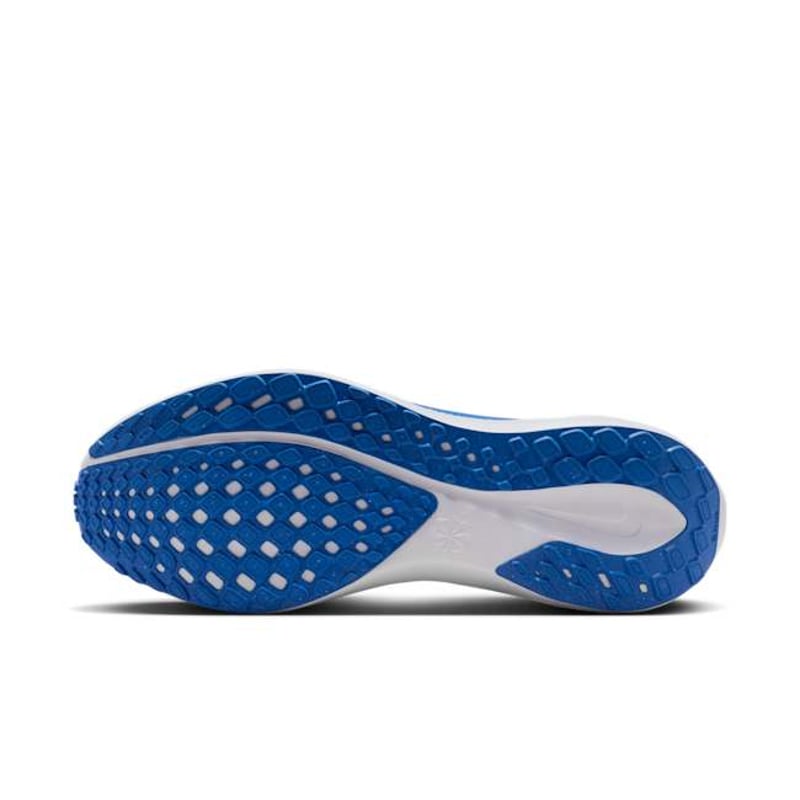 Nike Pegasus 41 FZ5111-400 02