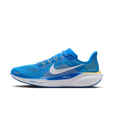 Nike Pegasus 41 FZ5148-400