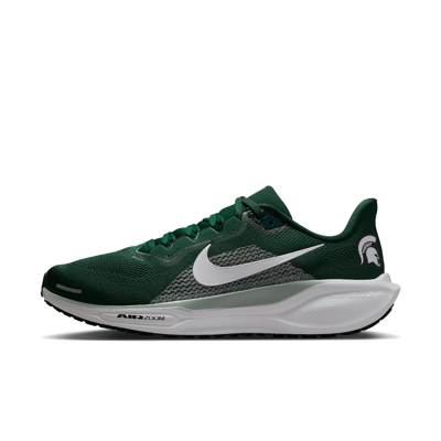 Nike Pegasus 41 IB3250-300