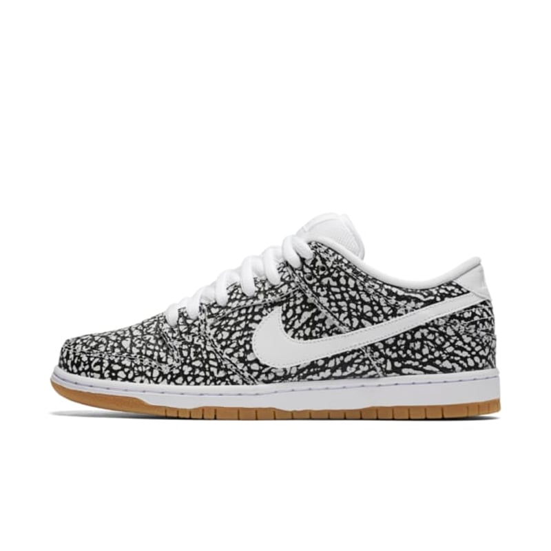 Nike SB Dunk Low 313170-110 01