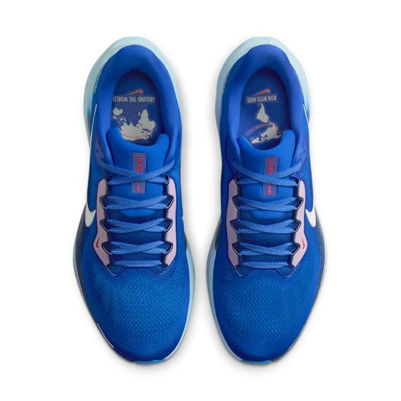 Nike Pegasus 41 HQ1717-400 04