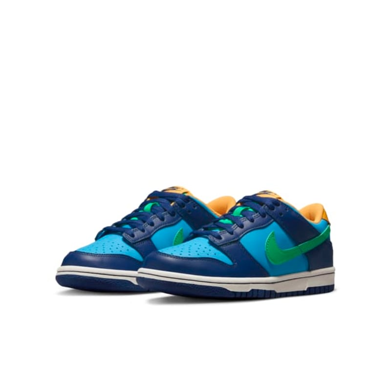 Nike Dunk Low DV1693-401 05