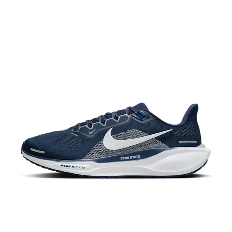 Nike Pegasus 41 FZ5140-400 01