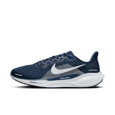 Nike Pegasus 41 FZ5140-400