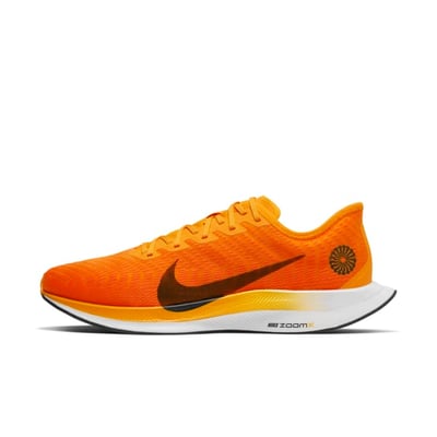 Nike Zoom Pegasus Turbo 2 CK9661-800