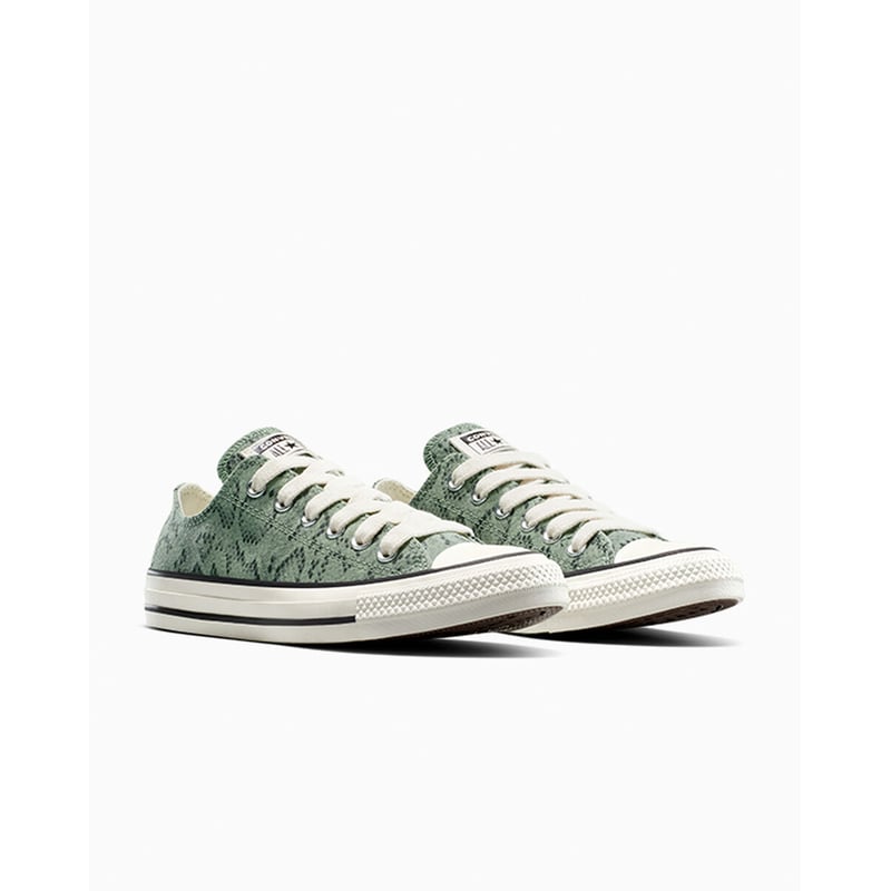 Converse Chuck Taylor All Star Low A15811C 05