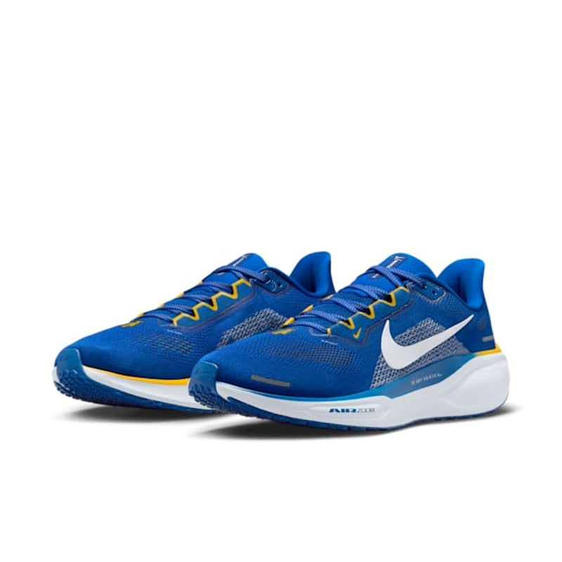 Nike Pegasus 41 FZ5132-400 05