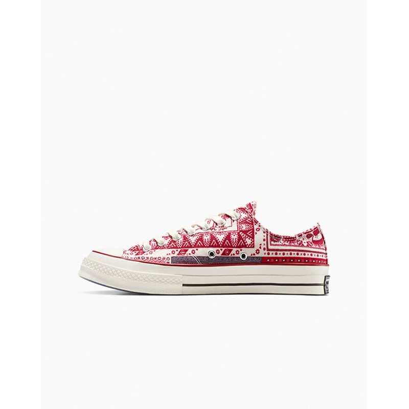 Converse Chuck 70 Low x Isabel Marant A14801C 03