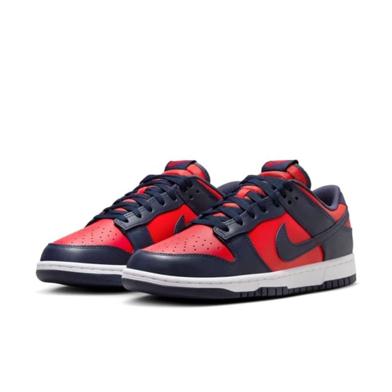 Nike Dunk Low Retro CO.JP DV0833-601 05