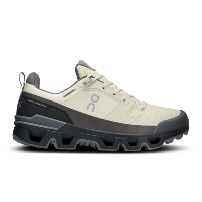 On Cloudwander Waterproof 73.97668