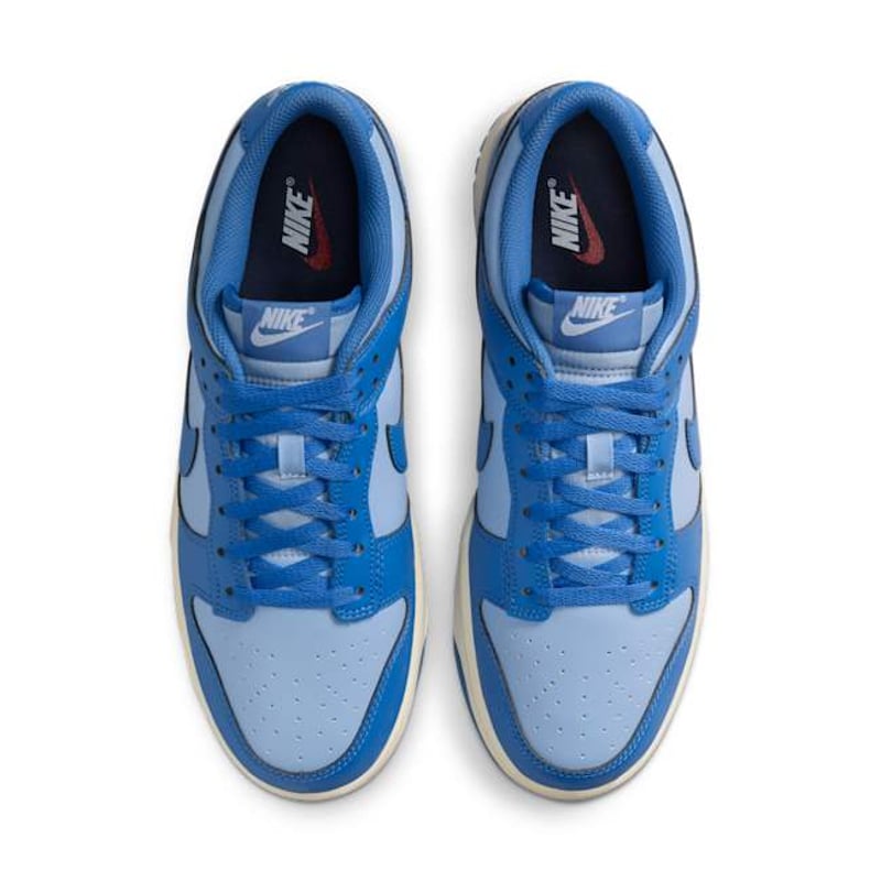 Nike Dunk Low HF5441-400 04