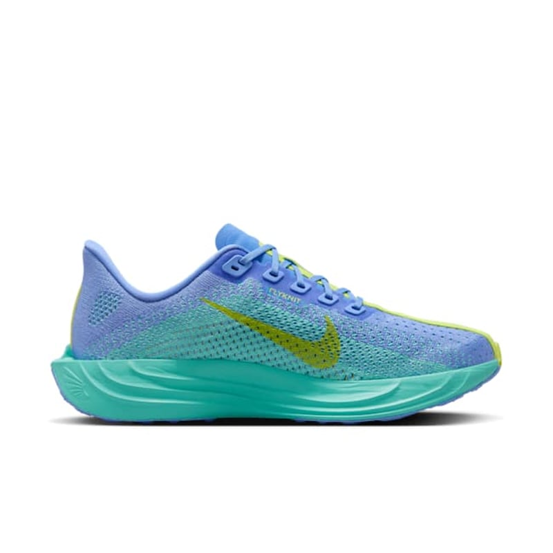 Nike Pegasus Plus FQ7261-401 03