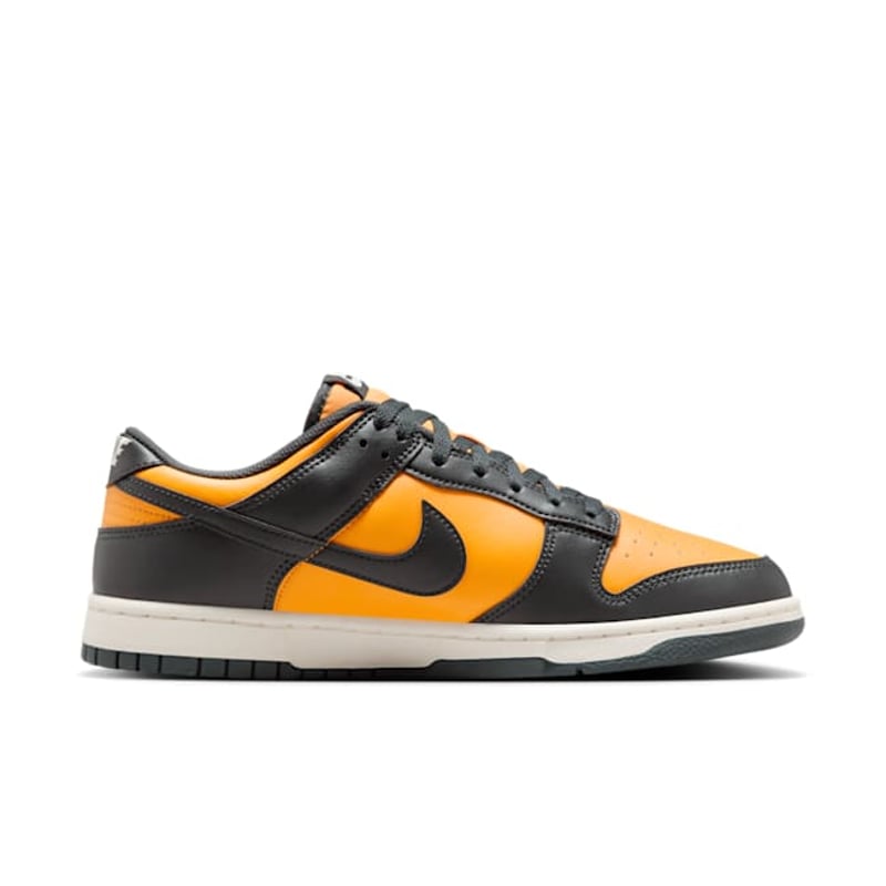 Nike Dunk Low HF5441-700 03