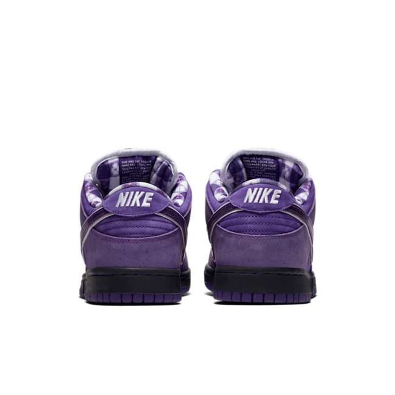 Nike SB Dunk Low x Concepts BV1310-555 06