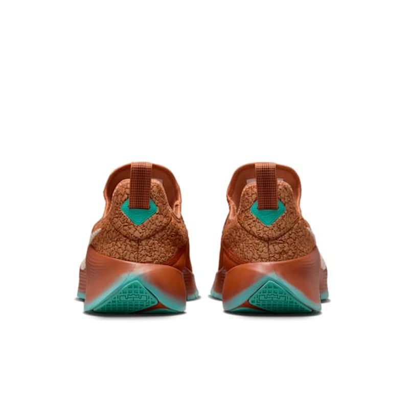 Nike LeBron TR1 FJ6151-200 06