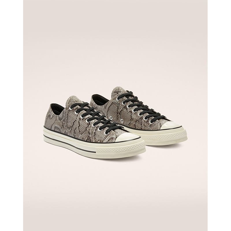 Converse Chuck 70 Low 170104C 04