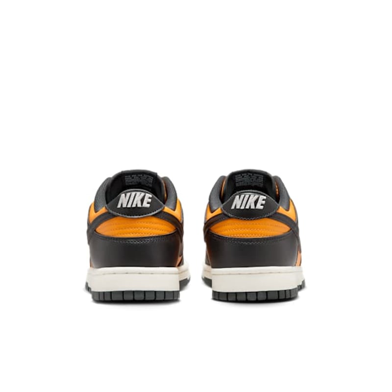 Nike Dunk Low HF5441-700 06