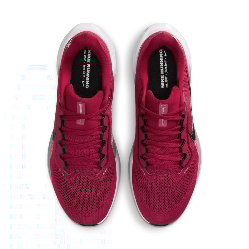 Nike Pegasus 41 IB3264-600 04