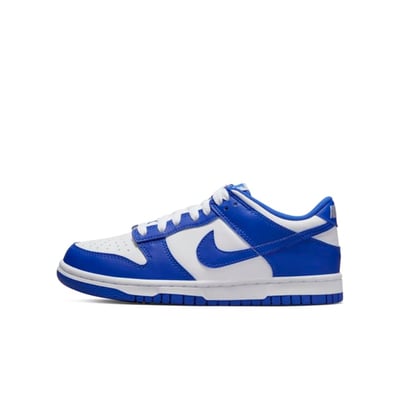 Nike Dunk Low DV7067-400