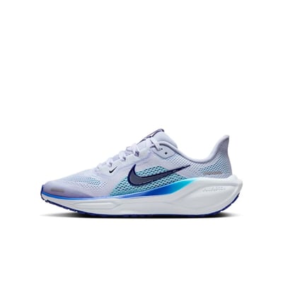 Nike Pegasus 41 FN5041-004