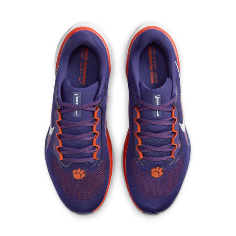 Nike Pegasus 41 FZ5108-500 04