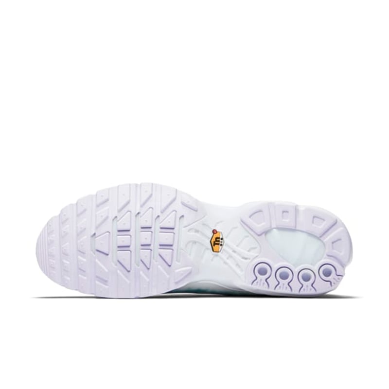 Nike Air Max Plus Premium SP 899595-300 02