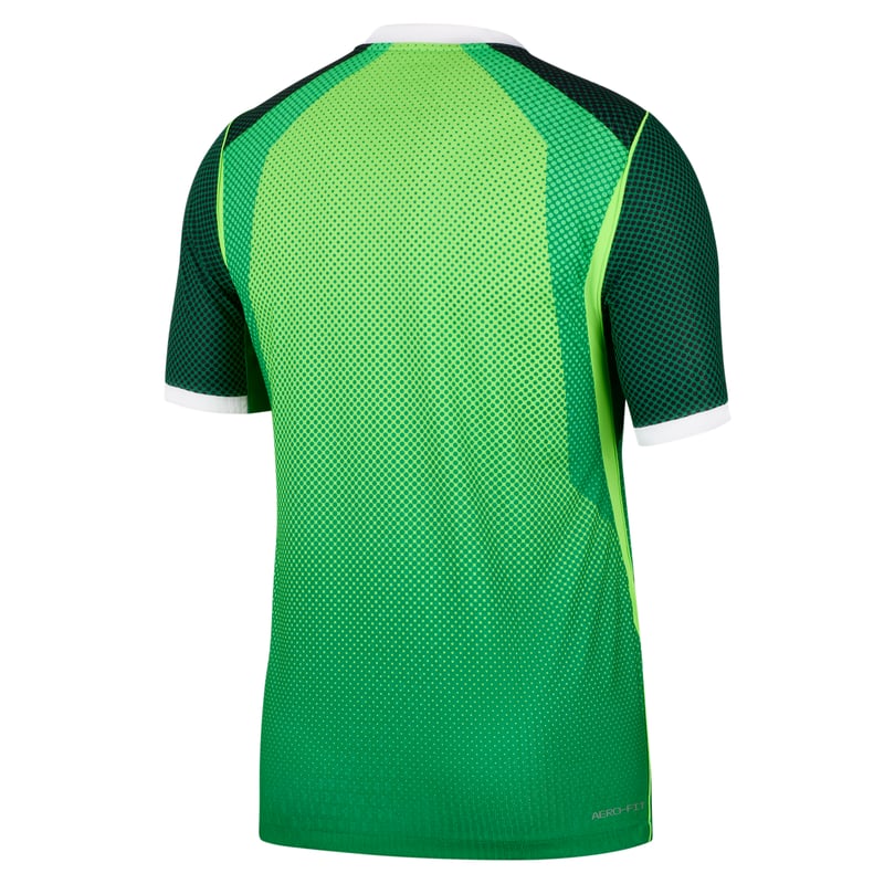 Nike Nigeria 2026 Match Home Aero-FIT Authentic IB5164-302 02