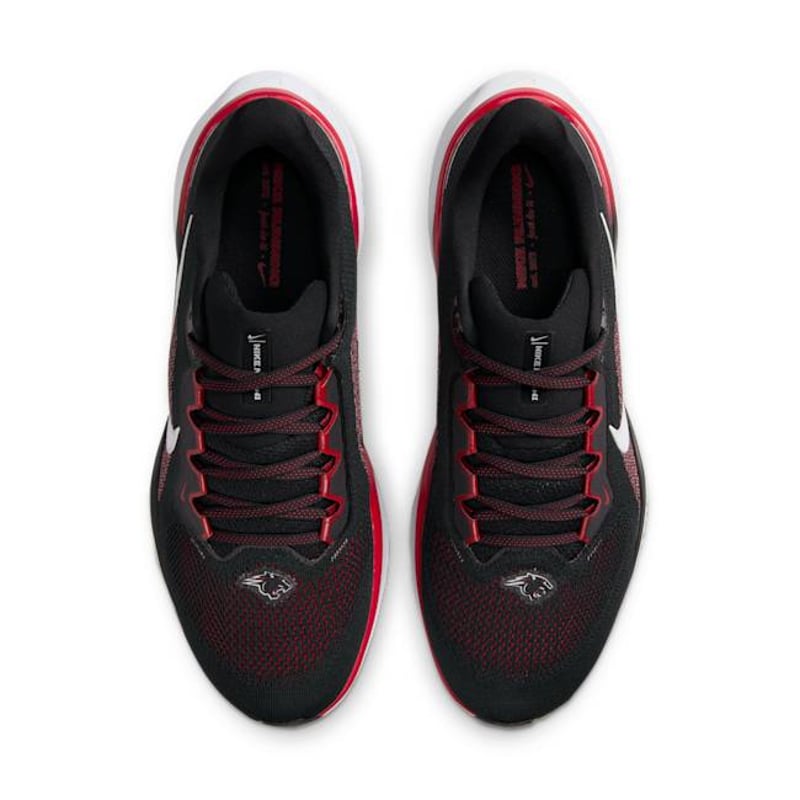 Nike Pegasus 41 FZ5107-001 04