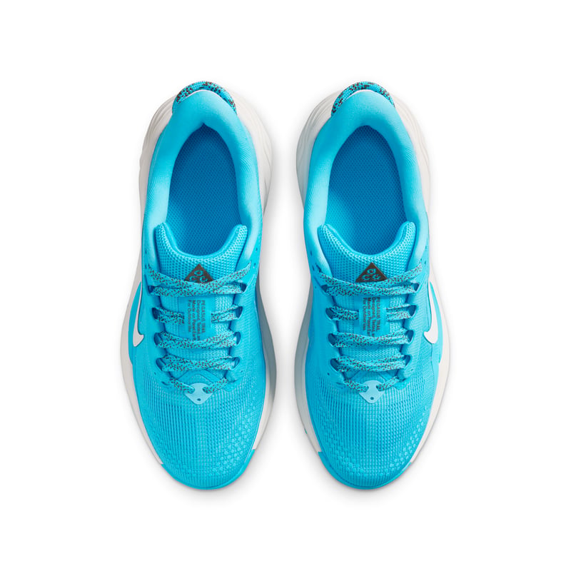Nike ACG Pegasus IH2305-400 04