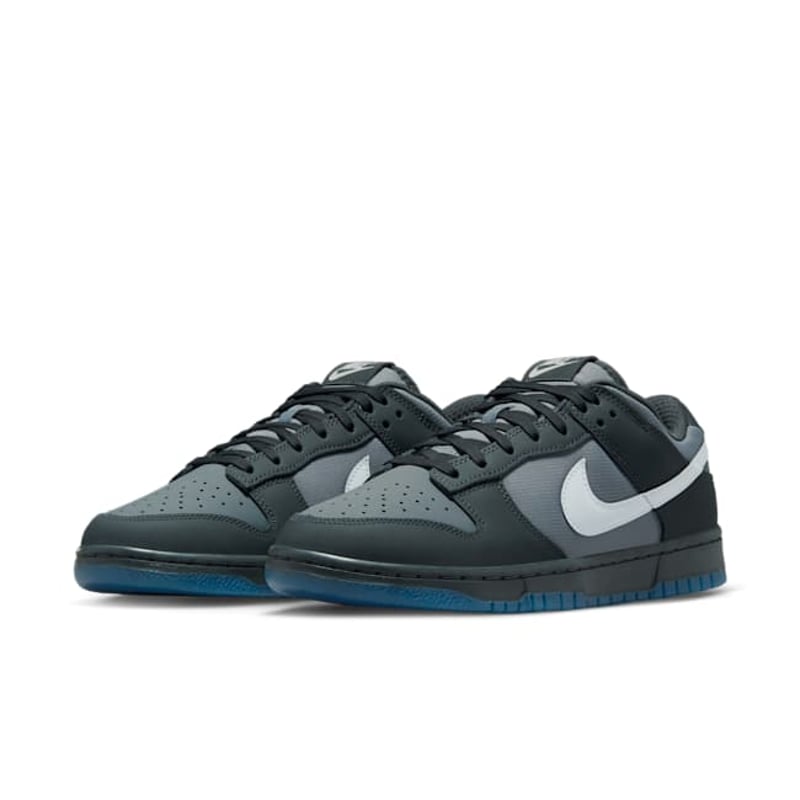 Nike Dunk Low FV0384-001 05
