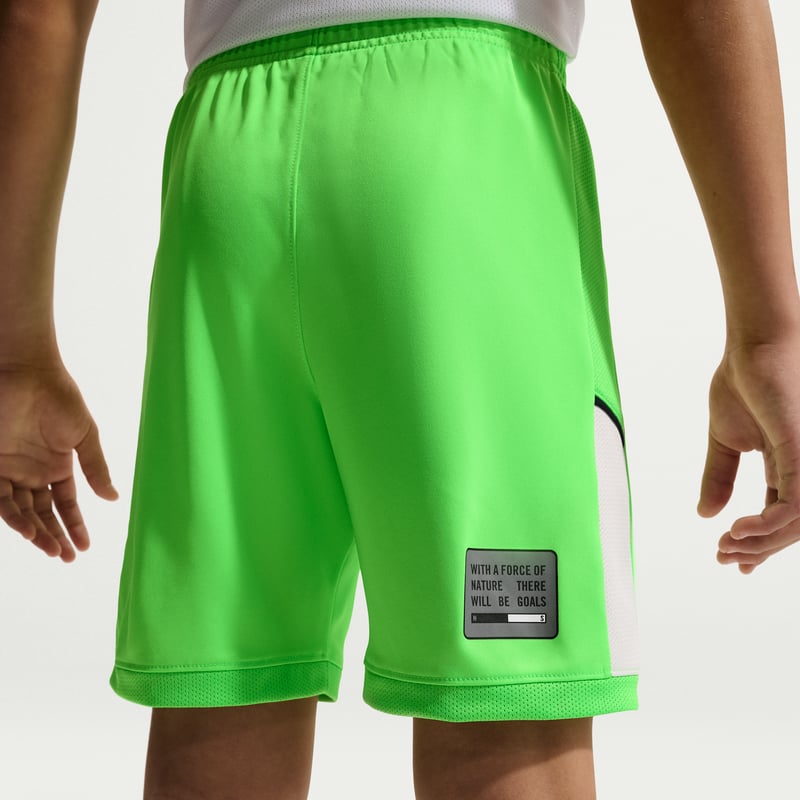 Nike Erling Haaland Academy Dri-FIT IF2812-398 04