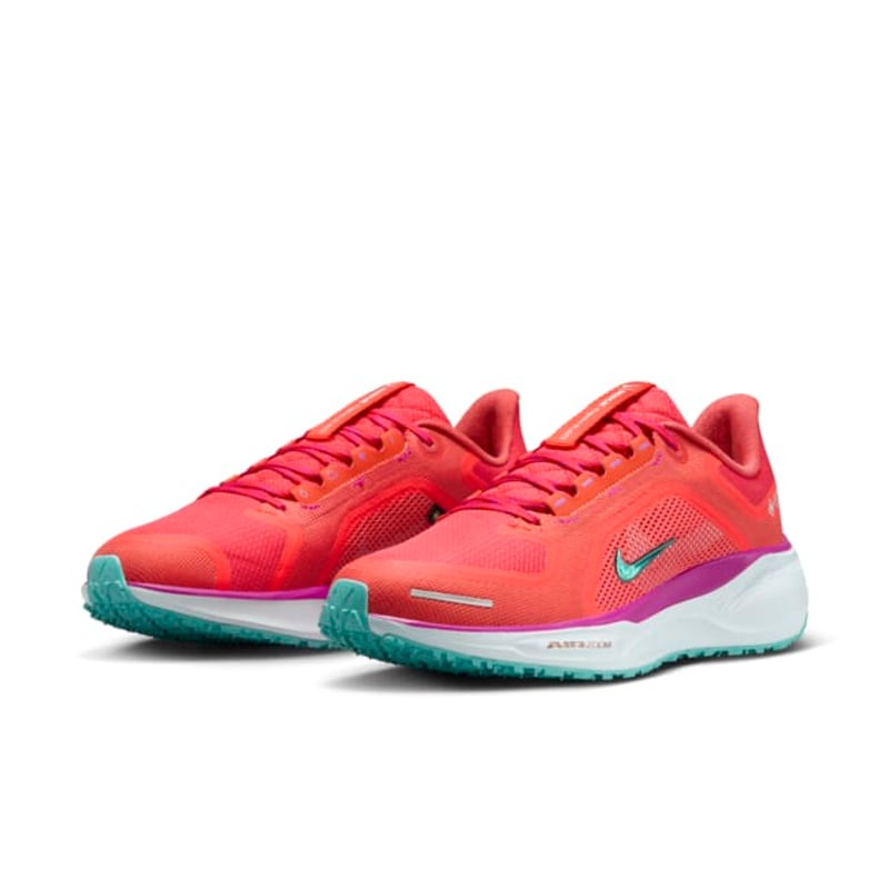 Nike Pegasus 41 GORE-TEX HM8870-600 05