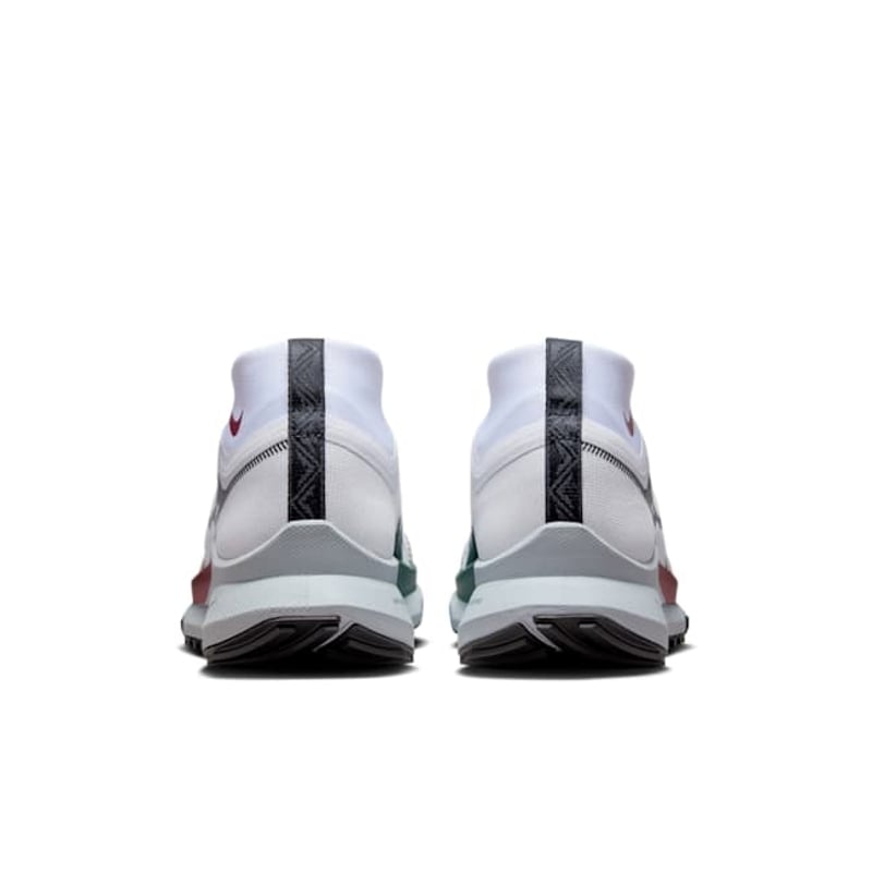 Nike Pegasus Trail 4 GORE-TEX DJ7926-102 06