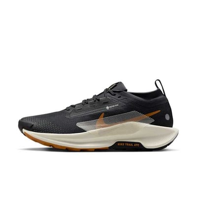 Nike Pegasus Trail 5 GORE-TEX FQ0908-007