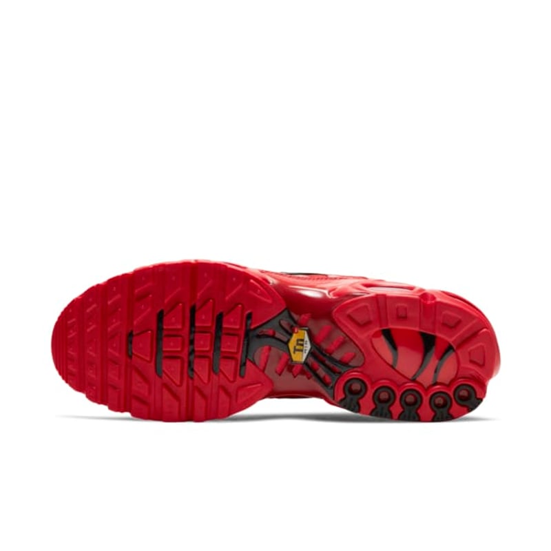 Nike Air Max Plus DD9609-600 02