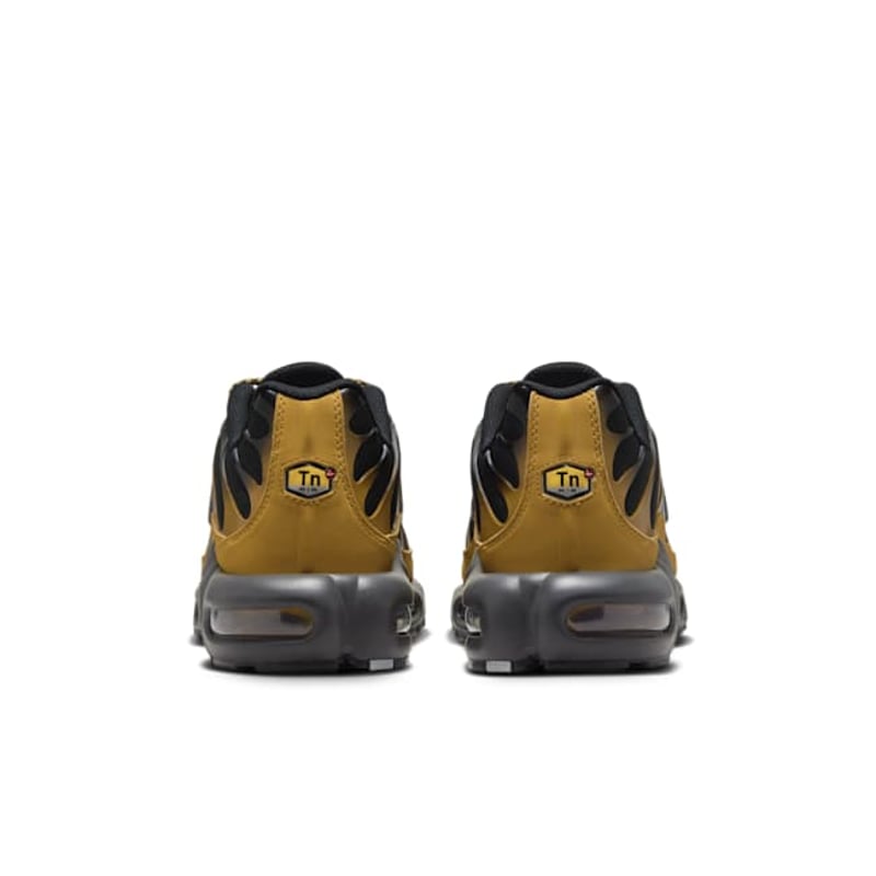 Nike Air Max Plus FB9722-700 06
