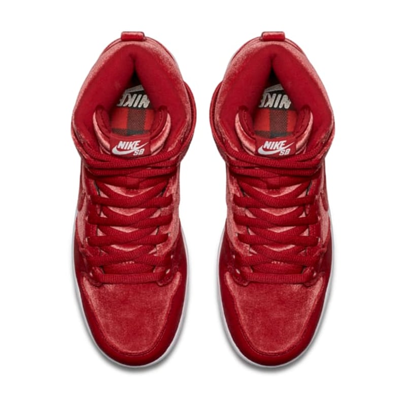 Nike SB Dunk High Premium 313171-661 04