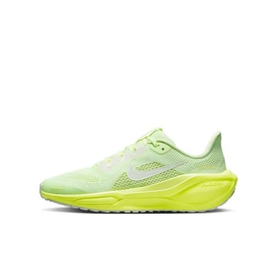 Nike Pegasus 41 FN5041-700