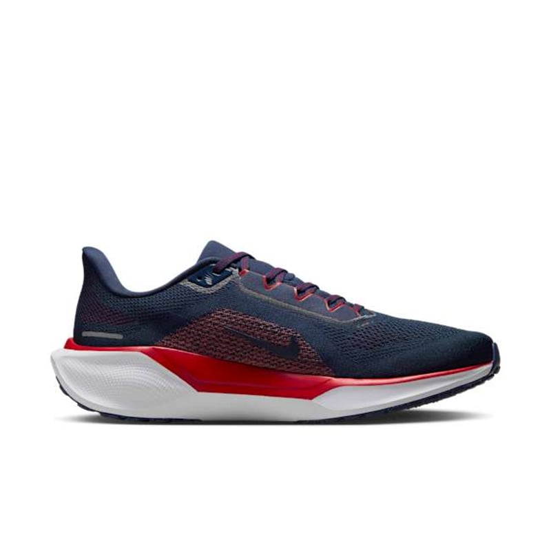 Nike Pegasus 41 FZ5104-400 03