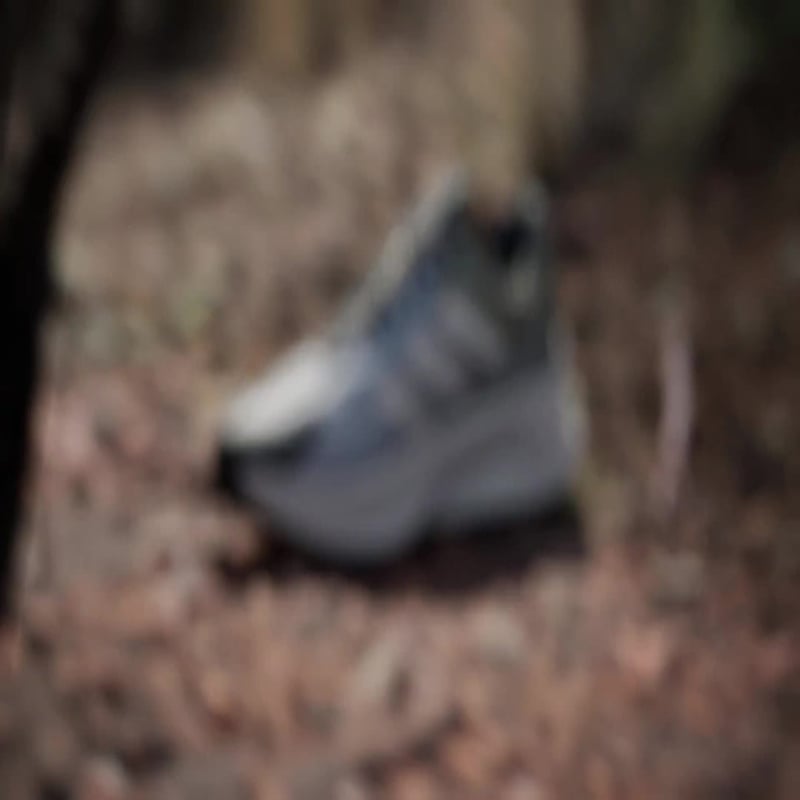 adidas Terrex Soulstride Flow GORE-TEX JI1688 02