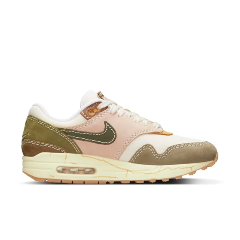 Nike Air Max 1 Premium DQ8656-133 03