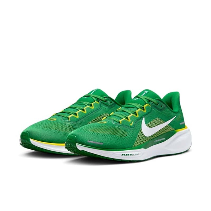 Nike Pegasus 41 FZ5138-300 05