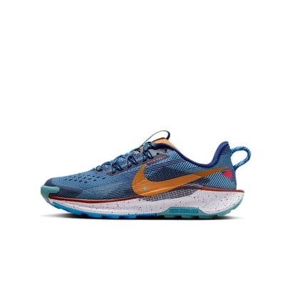 Nike Pegasus Trail 5 FV5638-400
