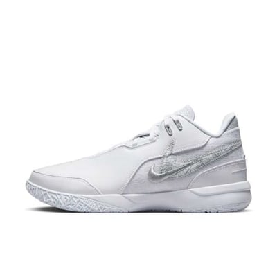 Nike LeBron NXXT Gen AMPD FJ1566-102