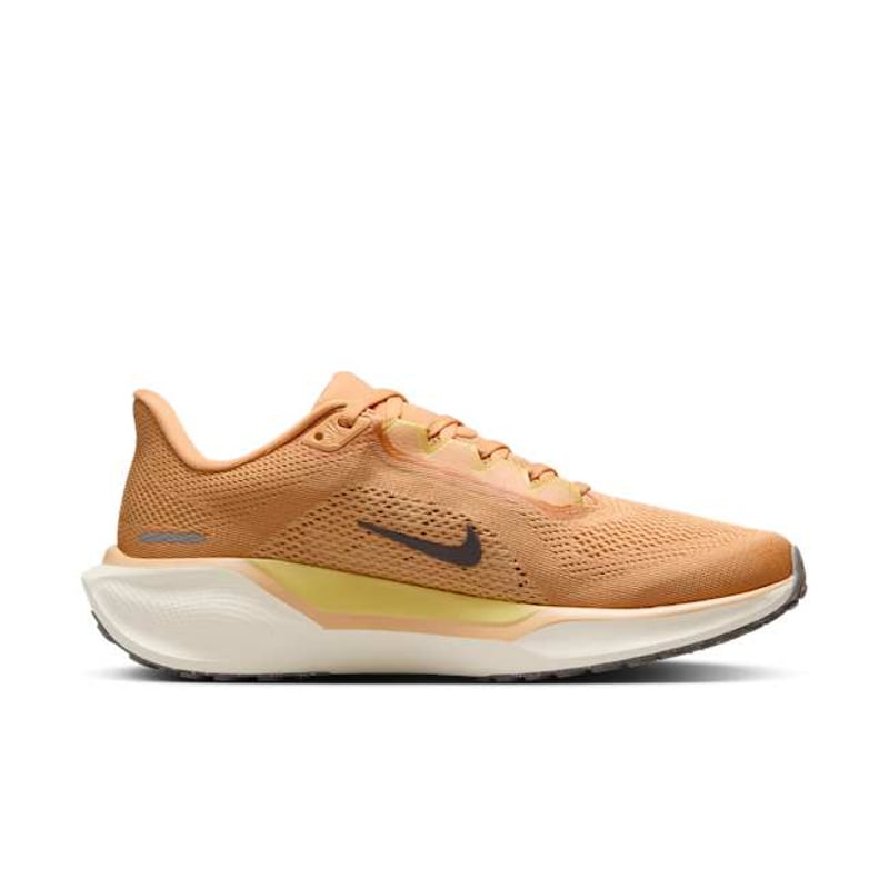 Nike Pegasus 41 FD2723-800 03